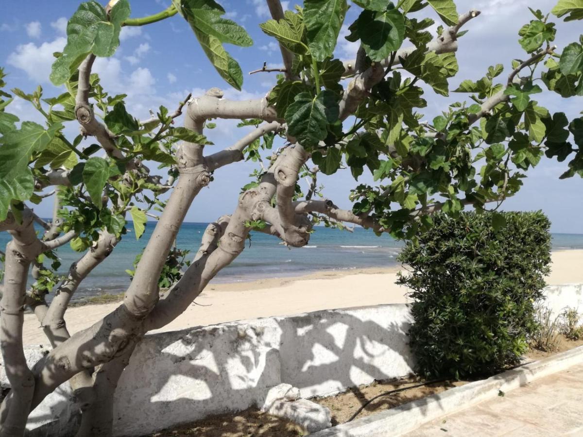 Dimora Grazia In Riva Al Mare Apartment Monopoli Luaran gambar